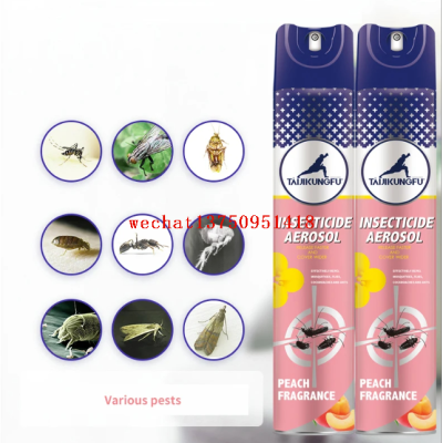 Sheng Jian Insecticide Aerosol 750ml Household Spray Insecticide Ant Mosquito Fly Cockroach Household