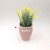 Boutique Creative Fashion Gift Ceramic Plastic Simulation Fleshy Flower Family Practical