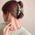 South Korea Imported High-Grade Pearl Large Size Grip 2022 New Internet Celebrity Clip High-End Back Head Barrettes Women