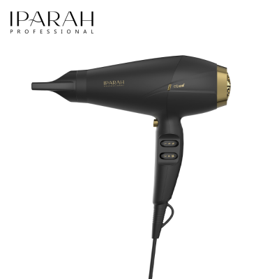 IPARAH P-340 Professional non-injury negative ion hair dryer