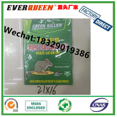 Green Killer Rat & Glue Mouse Catcher Trap Glue Mouse Traps 21*16 Mouse Trap Sticker