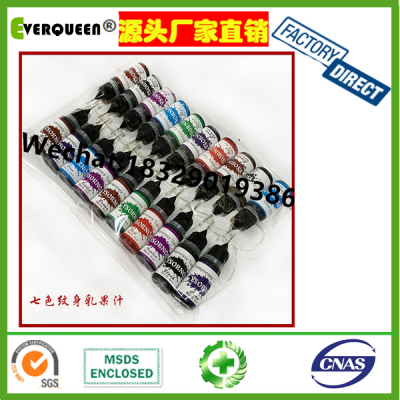 Tattoo Supplies Wholesale Fashion Style Easy Use Transparent Color Plant Pigment Tattoo Ink Kits Temporary Tattoo Ink