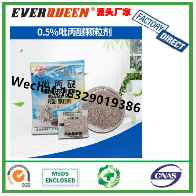 Insecticide Granules Killing Mosquito and Fly Larva Retainer Stinky Ditch Septic Tank Sewer Outdoor Dry Toilet Maggots
