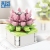 Zhegao Toy Building Blocks Flower Succulent Pot Indoor Flower Plant Small Particle Decoration Assembled Toy Holiday Gift