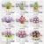 Zhegao Toy Building Blocks Flower Succulent Pot Indoor Flower Plant Small Particle Decoration Assembled Toy Holiday Gift