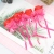 Luminous Rose Colorful Rose Stick Valentine's Day Confession Bouquet Park Stall Hot Sale Wholesale H