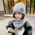 Children's Hat Scarf Autumn and Winter Woolen Cap Children Knitted Warm Hat Thickened Boys and Girls Two-Piece Set Suit