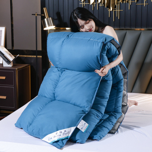 羽丝绒被子秋冬加厚保暖酒店双人被芯厂家直销礼品被学生棉被代发