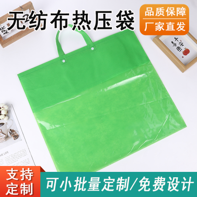Textile Home Textile Bag Zipper Paing Bag Wholesale Pillow Core Dustproof Storage Bag Pillow Transparent Handbag Factory Direct Sales