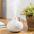 New Onion Humidifier Mute Air-Conditioned Room Water Replenishing Instrument Heavy Fog Humidifier Home Office Air Atomizer