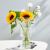 Light Luxury Minority Simple Candlestick Creative Glass Vase Transparent Hydroponic Flowers Flower Arrangement in Living Room and Dining Table Decorative Ornaments