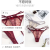 Factory outlet Underwear3040.Magic Box Mystery Classic Low Waist Series panty Belt Women's Low-Rise Thong.Thin Strap Seduction Sexy Mesh lady's brief  
