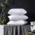 Hotel Cloth Product Bedding Pure Cotton All Cotton Feather Velvet Non-Deformation Slow Rebound Pillow Pillow