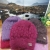 Winter New Fleece-Lined Thickened Middle-Aged and Elderly Moms' Hat Knitted All-Matching Pullover Keep Warm Woolen Cap