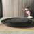 Black Oval Embossed Ceramic Plate Egg-Shaped Diningware, 12/14/16-Inch for Commercial Household Wholesale