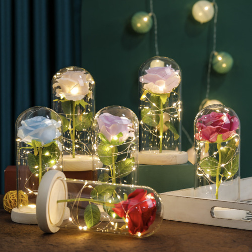 永生花玻璃罩批发 亚马逊跨境 送女友送妈妈送老婆送老师创意礼品