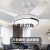 LEDOne Piece Dropshipping Led Smart Bluetooth Speaker Fan Lamp Dining Room 52-Inch Three-Color Singing Ceiling Fan Lights  