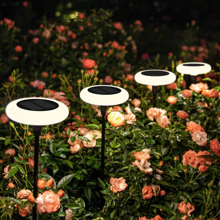 Product Image Gallery