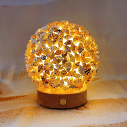 小红书同款手工diy贝壳相框小夜灯 发光摆件床头柜氛围灯创意礼品