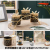 Jingdezhen Ceramic Nut Plate Seasoning Jar Sealed Jar Dim Sum Plate Storage Jar Kitchen Supplies