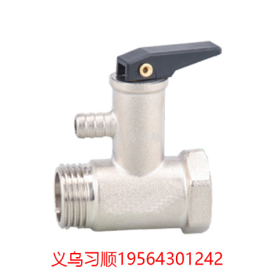 Copper Thickened 4 Points/6 Points Universal Household Electric Water Heater Special Safety Valve Reducing Valve Relief Pressure Valve Check Valve