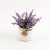 Factory Wholesale Small Flower Artificial Flower Ceramic Potted Plant Home Interior Decoration Desktop Simulation Greenery Bonsai Fake Flower