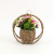 Water Plants Woven Rattan Vase Flower Basket Willow Woven Rose Succulent Plant Flower Ware Living Room Dried Flowers Idyllic Decoration Ornaments