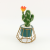 New Iron Artificial Succulent Tropical Cactus Bonsai Creative Small Ornaments Artificial Flower Factory Direct Supply Green Plant