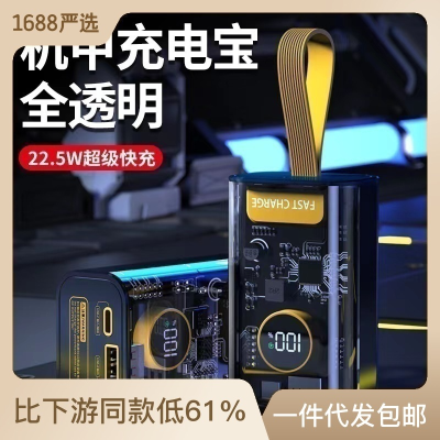 Mecha Transparent Industrial Wind Power Bank 10000 MA Super Fast Charge 22.5W Mobile Power Supply Power Bank Wholesale