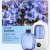 Automatic Fragrance Sprayer Air Humidifying Freshener Aromatherapy Lasting Room Air Toilet Deodorant Aromatherapy