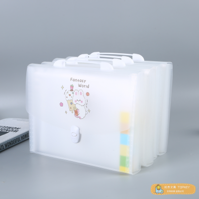 Info Booklet Storage Clip A4 Expanding File Folder Paper Buggy Bag Cute Cartoon Portable Organ Bag