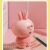 Cross-Border New Cute Cartoon Mini Night Light Cute Rabbit USB Desk Lamp Office Xx Decoration Desktop Wholesale