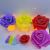 Valentine's Day Gift, New Mother's Day, Holiday Gift, Acrylic Soap Rose with Light