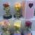 Mother's Day Gift, Valentine's Day Gift, Teacher's Day Gift, Laser Effect Light Acrylic Rose