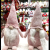 2023 New Pink Faceless Old Couple Dwarf Scavenger Rudolf Christmas Gift Doll Decoration