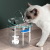 Pet Water Dispenser Automatic Circution Intelligent Constant Temperature Dogs and s Water Fountain Non-Plug-in Kitten Drinking Water Apparatus Pet Supplies