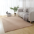 Imitation Rabbit Fur Carpet Bedroom Living Room Coffee Table Carpet Solid Color Simple Room Bedside rug Bay Window Mat