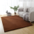 Modern Thickened Imitation Rabbit Fur Carpet Living Room Sofa Bedroom Nordic Home Tea Table Carpet Floor Mat Full rug