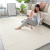 Imitation Rabbit Fur Bedroom Carpet Fully Covered Nordic Bedside Living Room Living Room Study Bayeta Bay Window Mat rug