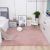 Imitation Rabbit Fur Bedroom Living Room Coffee Table Carpet Solid Color Simple Fluff Room Bedside Bay Window Mat rug
