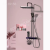 Ambience Light Digital Display Gun Gray White Shower Head Set Household Copper Toilet Bathing Machine Bathroom Nozzle