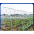 Oval Tube Greenhouse Large Shed Tube Planting Shed Vegetable Shed Cow Shed Chicken Shed