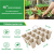Pulp Seedling Cup/Seedling Tray/Throwing Tray // Degradable Pulp Cup/Nursery Basin Feeding Tray