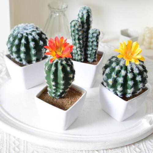 simulation mini succulent plant cactus indoor cactus bonsai artificial plant artificial flower potted wholesale