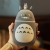 Cartoon Totoro Student Water Cup Cute Korean Style Student Female Couple Glass Cup Children Creative Simple Handy Cup