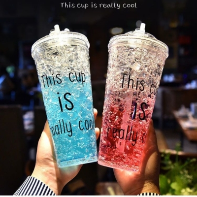 Summer Crushed Ice Cup Milk Tea Cup Frost Water Bottle Cup with Straw Female Student Korean Style Refrigeration Double Plastic Handy Cup