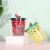 Summer Fruit Ice Cup Trending Creative Double Wall Cooling Plastic Cup Portable Student Gift Ice Cool Water Cup