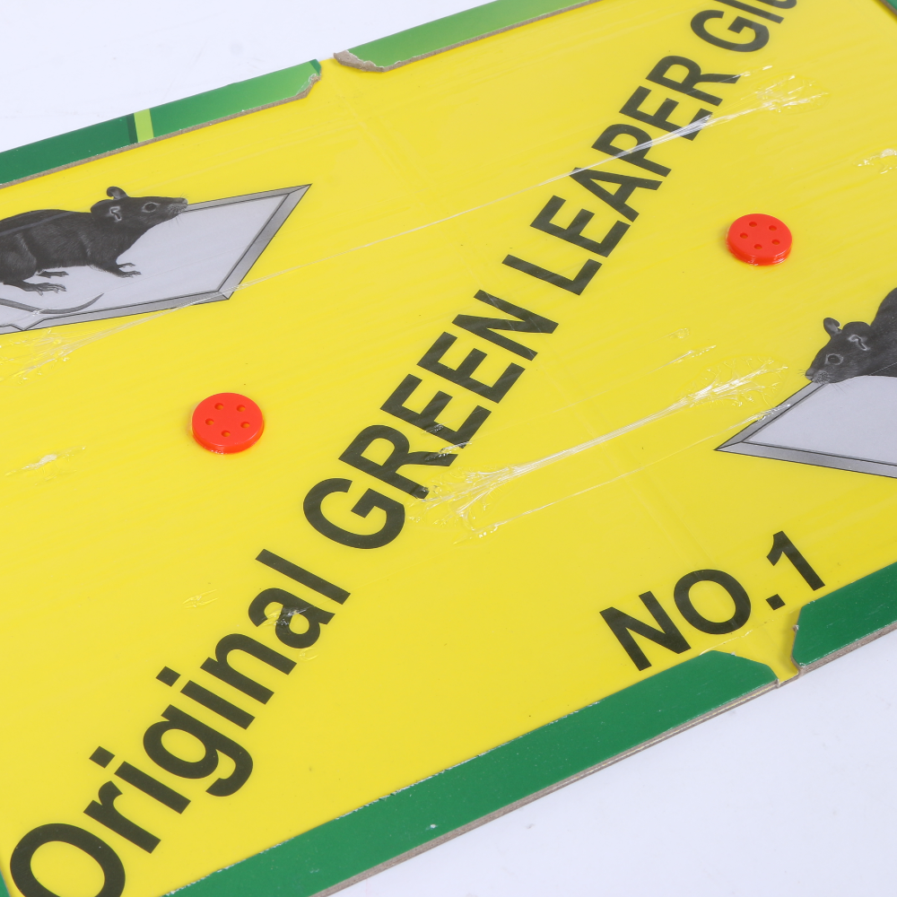 Product Image Gallery