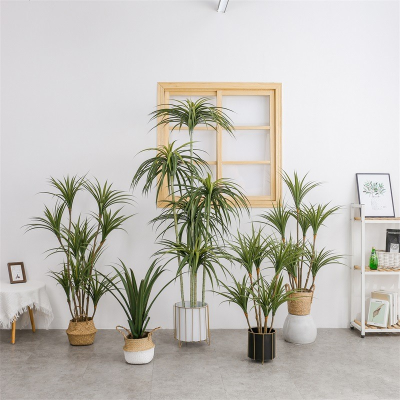 Simple Style Indoor and Study Decoration Simulation Green Plant Yucca Tree Dragon Blood Iron Agave Fake Trees Bonsai