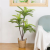Indoor Home  Simulation Large Green Plant Bonsai Simulation Areca Palm Back of Turtle Tree Bonsai Greenery